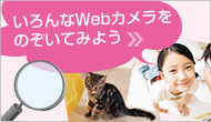 いろんなWEBカメラをのぞいてみよう